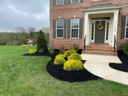 recent past work 00014 oliveiras landscaping silver springs maryland