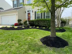 recent past work 00015 oliveiras landscaping silver springs maryland