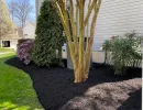 recent past work 00017 oliveiras landscaping silver springs maryland